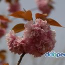 자연동산어린이집 이미지