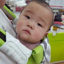 롯데마트디어베이비 네이버블로그