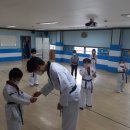 진성태권도 이미지