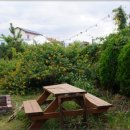 애월환승정류장 이미지