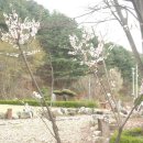 다산농원 이미지