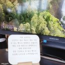 [익산 금마] 숨앤티ㅣ서동공원 건강빵 비건 베이커리 카페