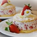 꿈 케이크 티스토리