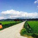 풍년염소농장 이미지