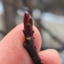 활터어린이공원 이미지