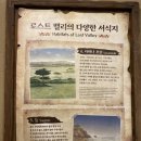 도윤모바일 이미지