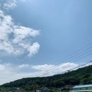 통일로 금촌농장 네이버블로그