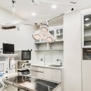 데이동물의료센터 이미지