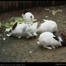 황간휴게소(상행) 이미지