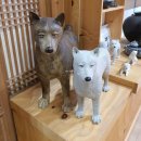 사랑채국수방 | # 경주 여행 코스 강추! 신라 천년의 수도 경주 문화 유적지!(문화 관광해설 참고) "첨성대 & 경주 교촌...