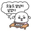 테일즈 파크 이미지
