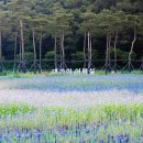 헌문리마을회관 이미지