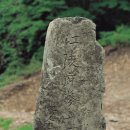 평창산삼나라