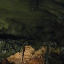 강원도 태백 용연동굴 2 이미지