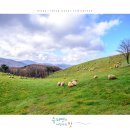 행진목장 이미지