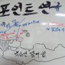돌산낚시촌 Daum카페