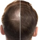 the Fitness LAB 이미지