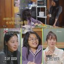 고최고기