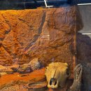 서동탄역 | [동탄 아이랑] 서동탄역 키워볼래 &amp; 카페 방문 후기 (동물 먹이주기 체험 가능)