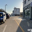 뽀삐 애견샵 이미지