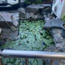 서산아구 이미지