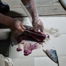 원항농장 이미지