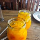 한   강 | 필리핀 보홀 핫플레이스투어+로복강 튜빙 한번에 즐긴 후기