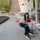 팝솔리드 | 여름이지만 가디건은 입고싶어 | 여름 살안타 템