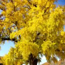 임고초등학교 이미지