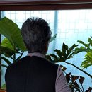 천연머리염색 이미지