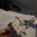 [결혼식 여자 사회자 후기] 이수진 아나운서 _ 구미 라뷰 웨딩 컨벤션
