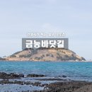 인생낙원 | 제주 금능 바닷길 포토존 어디일까? 비양도 뷰 인생사진 명소 찍어본 후기