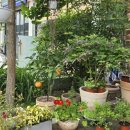 대구태전동우체국 이미지