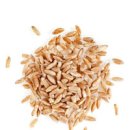 파로 곡물 밥 쌀 효능 먹는법 부작용 정리 이미지