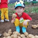 석천농장 이미지