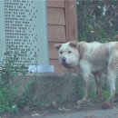 봉희농장 이미지