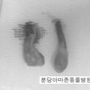 분당 아마존 동물병원 이미지