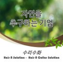 수리수화