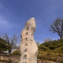 호숫가의 하얀집 | 제천 청풍호 벚꽃 나들이: 아쉬운 개화 현황과 청풍문화재단지 &amp; 유람선 힐링 코스