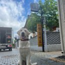 BG독케어센터 이미지