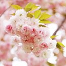 부산시민공원 숲속북카페 이미지