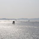 무창포솔원캠핑장 이미지