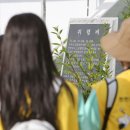 화천 황쏘가리 서식지 | [후기] 에쓰오일 대학생 천연기념물지킴이단 13기 하계캠프