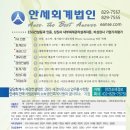 안세컨설팅 이미지