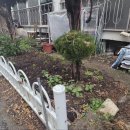 동네누나 이미지