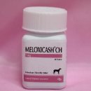 강남동물약국 이미지