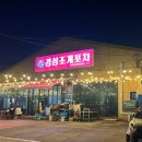 바다랑 포도펜션 | [경포코지펜션]강문애견동반숙소 강릉애견동반숙소 강릉조리가능애견동반숙소