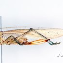 여치공원 이미지