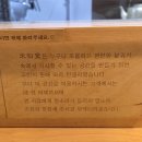 미분당 | 천안불당동 쌀국수 맛집 미분당 내돈내산 후기