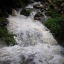 에덴시아 이미지